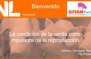 Sesión de seminario web 2: La condición de la cerda como impulsora de la reproducción.
